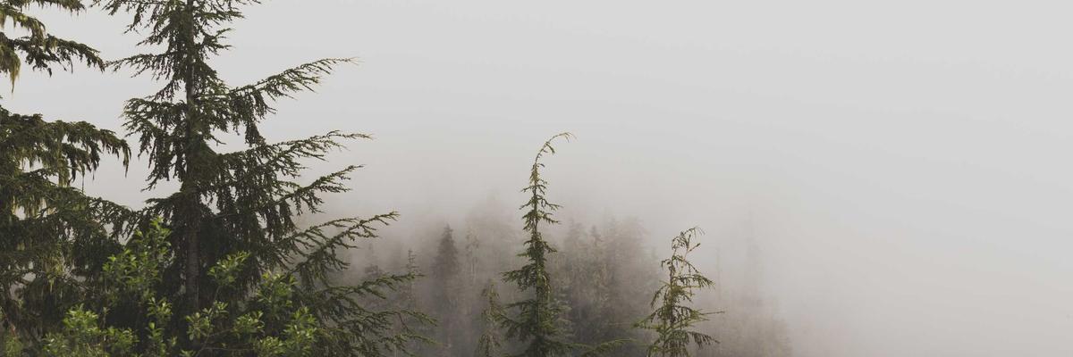 六月新人启航计划，入驻送10w流量包